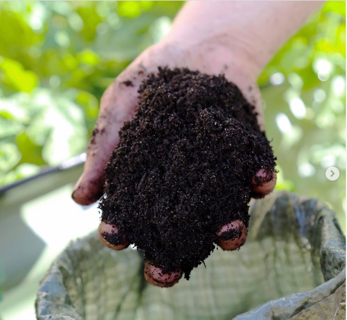 Curbside compost bucket (weekly pick up)