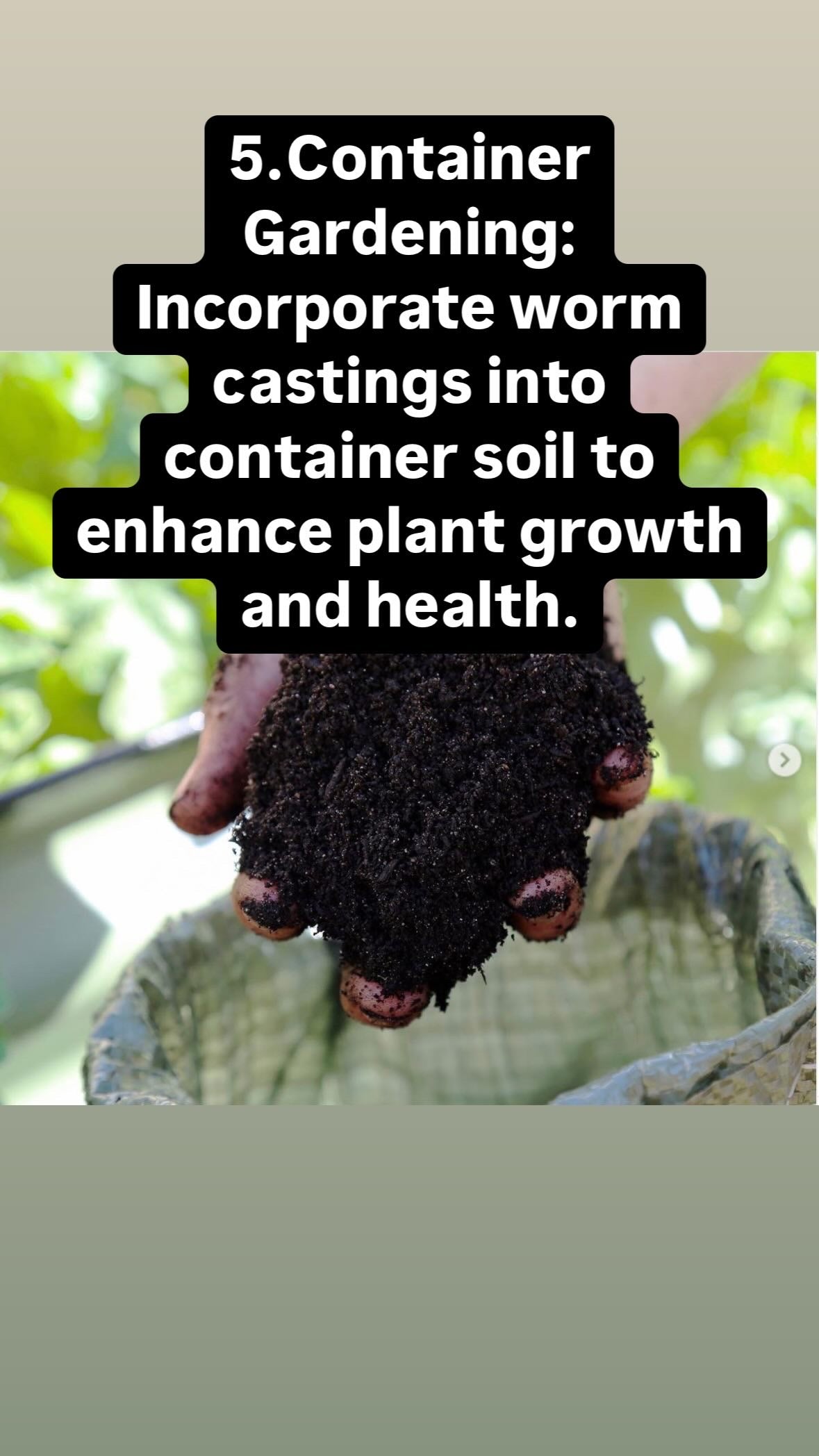 Worm castings