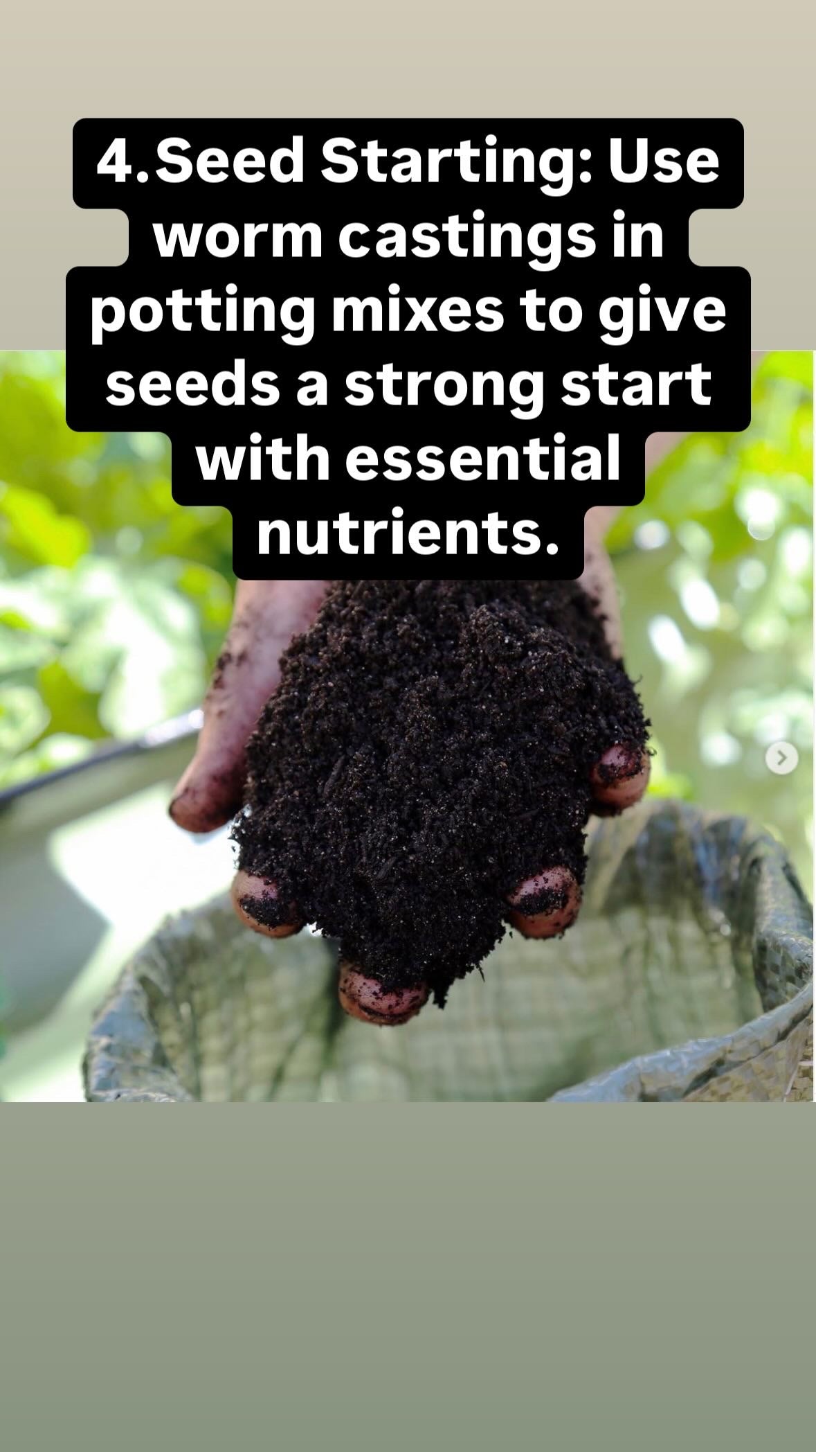 Worm castings
